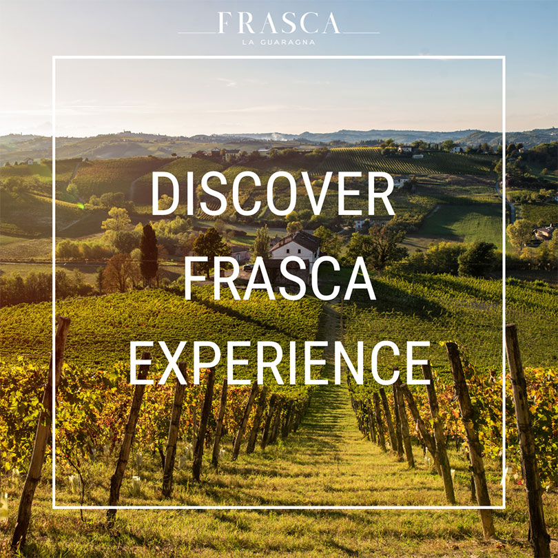 DISCOVER FRASCA EXPERIENCE